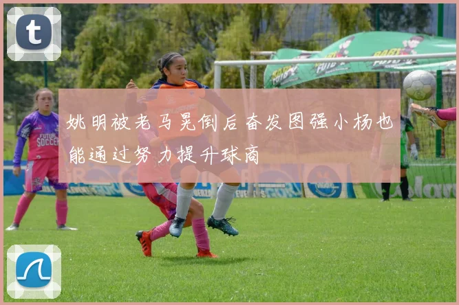姚明被老马晃倒后奋发图强小杨也能通过努力提升球商