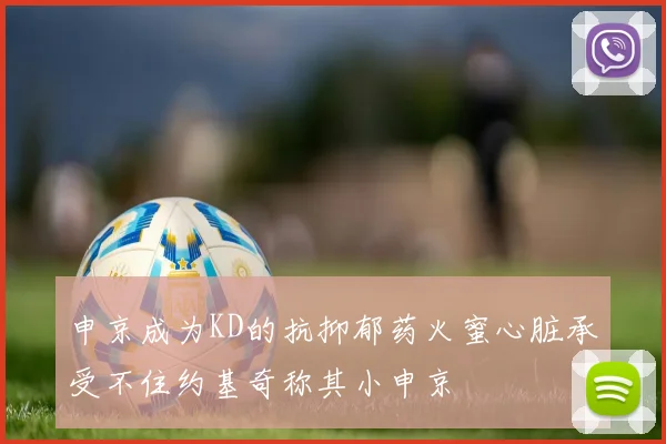 申京成为KD的抗抑郁药火蜜心脏承受不住约基奇称其小申京